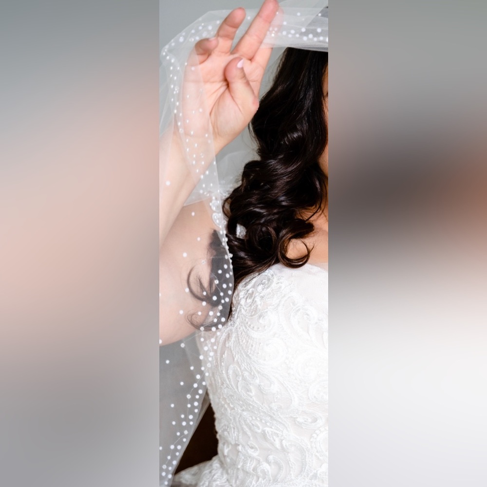 Bridal Veil Ivory Scattered Pearl and Crystal Edging Cascading Fingertip Length